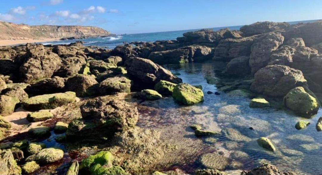 דירות אנטוגויה דה באלייה Casa Do Portao Azul - Tamboril מראה חיצוני תמונה